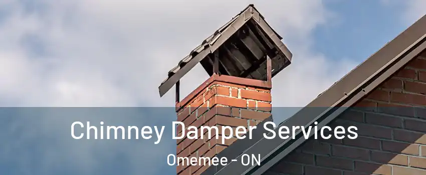  Chimney Damper Services Omemee - ON