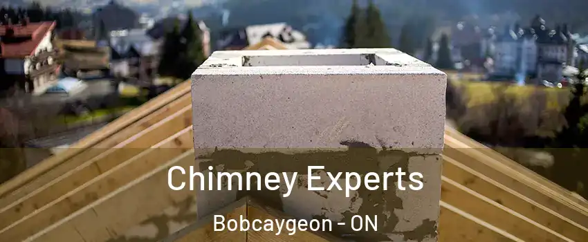 Chimney Experts Bobcaygeon - ON