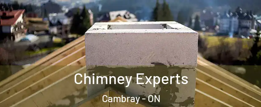 Chimney Experts Cambray - ON