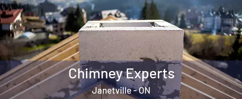 Chimney Experts Janetville - ON