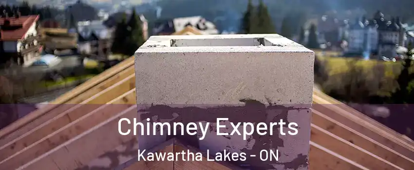 Chimney Experts Kawartha Lakes - ON