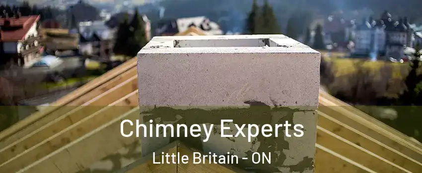 Chimney Experts Little Britain - ON