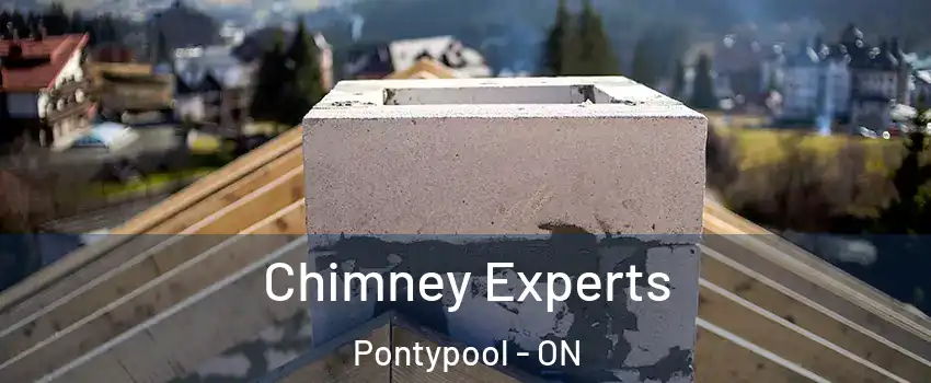 Chimney Experts Pontypool - ON