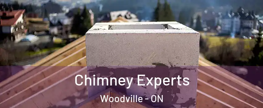 Chimney Experts Woodville - ON