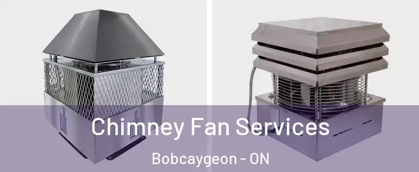  Chimney Fan Services Bobcaygeon - ON