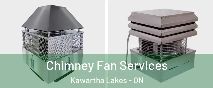  Chimney Fan Services Kawartha Lakes - ON