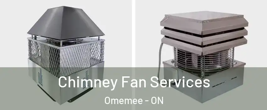  Chimney Fan Services Omemee - ON