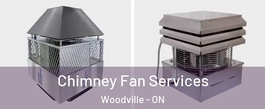  Chimney Fan Services Woodville - ON