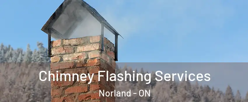 Chimney Flashing Services Norland - ON