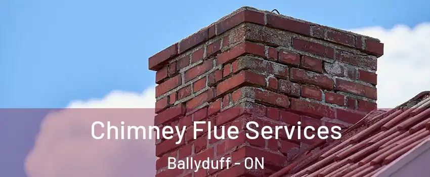  Chimney Flue Services Ballyduff - ON