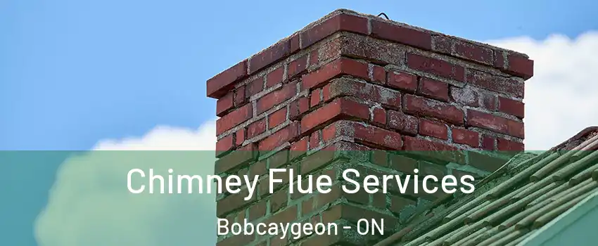  Chimney Flue Services Bobcaygeon - ON