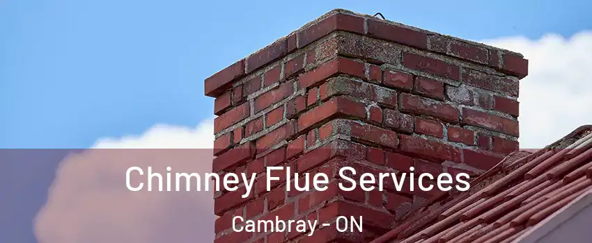  Chimney Flue Services Cambray - ON