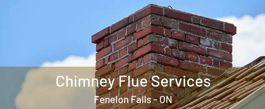  Chimney Flue Services Fenelon Falls - ON