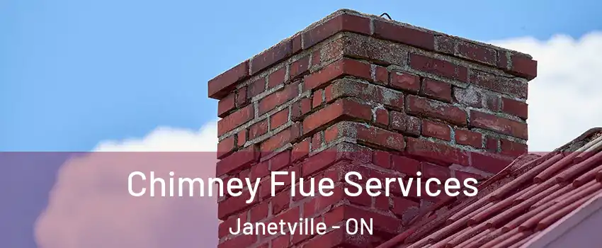  Chimney Flue Services Janetville - ON