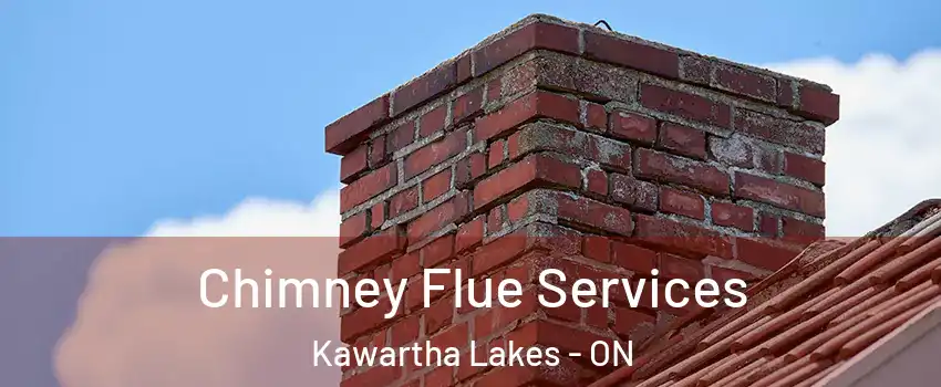  Chimney Flue Services Kawartha Lakes - ON
