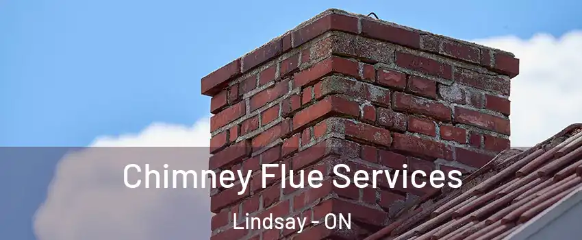  Chimney Flue Services Lindsay - ON