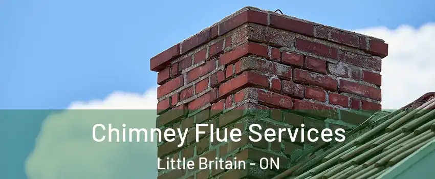  Chimney Flue Services Little Britain - ON