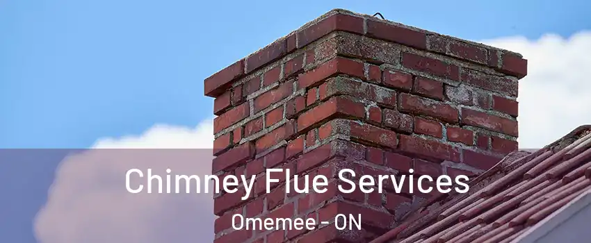  Chimney Flue Services Omemee - ON