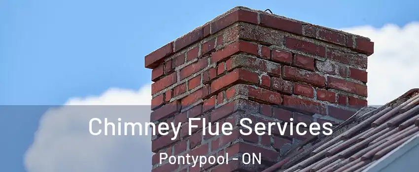  Chimney Flue Services Pontypool - ON