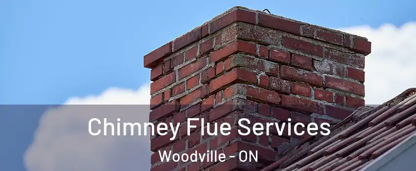  Chimney Flue Services Woodville - ON