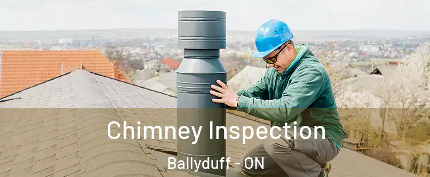  Chimney Inspection Ballyduff - ON