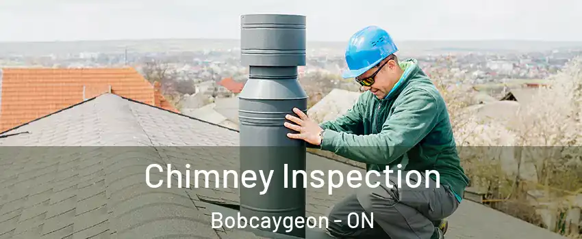 Chimney Inspection Bobcaygeon - ON