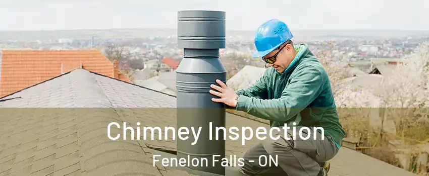  Chimney Inspection Fenelon Falls - ON