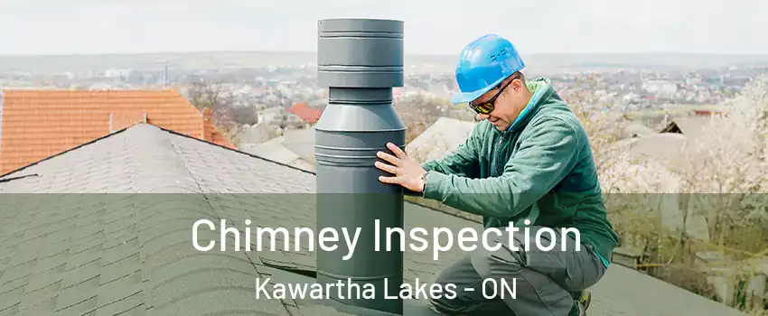  Chimney Inspection Kawartha Lakes - ON