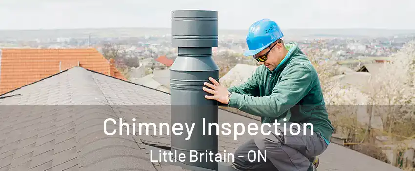  Chimney Inspection Little Britain - ON