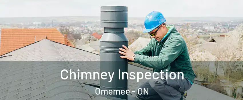  Chimney Inspection Omemee - ON