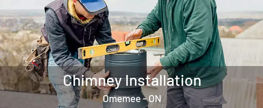  Chimney Installation Omemee - ON