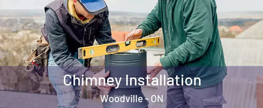  Chimney Installation Woodville - ON