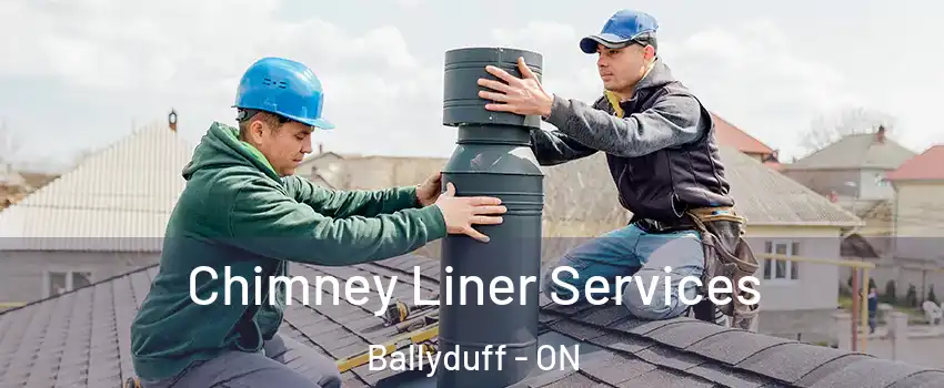  Chimney Liner Services Ballyduff - ON