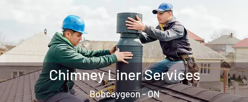  Chimney Liner Services Bobcaygeon - ON