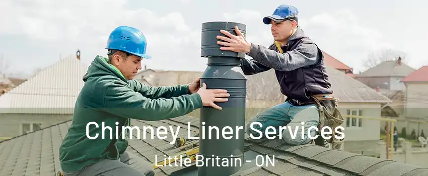  Chimney Liner Services Little Britain - ON
