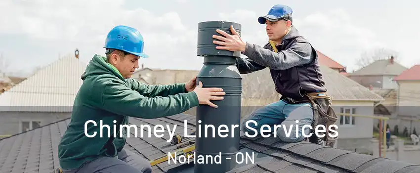  Chimney Liner Services Norland - ON