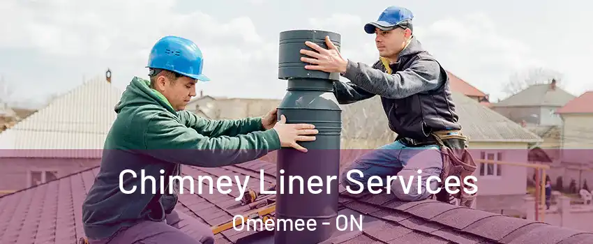  Chimney Liner Services Omemee - ON