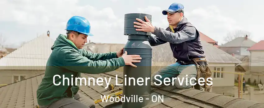 Chimney Liner Services Woodville - ON