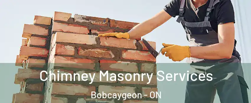  Chimney Masonry Services Bobcaygeon - ON