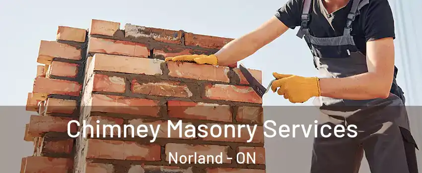  Chimney Masonry Services Norland - ON