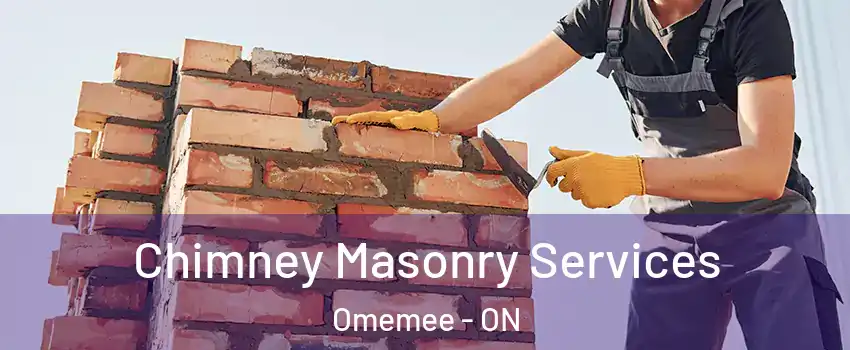  Chimney Masonry Services Omemee - ON