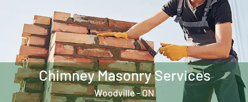  Chimney Masonry Services Woodville - ON