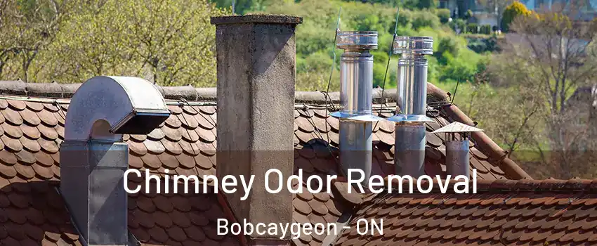  Chimney Odor Removal Bobcaygeon - ON