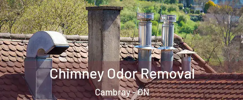  Chimney Odor Removal Cambray - ON