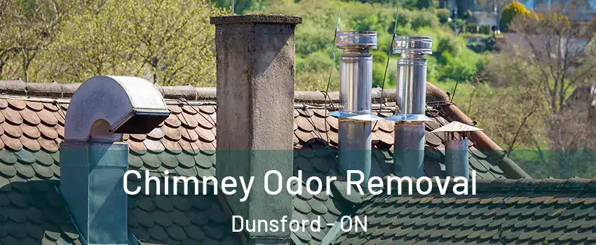  Chimney Odor Removal Dunsford - ON