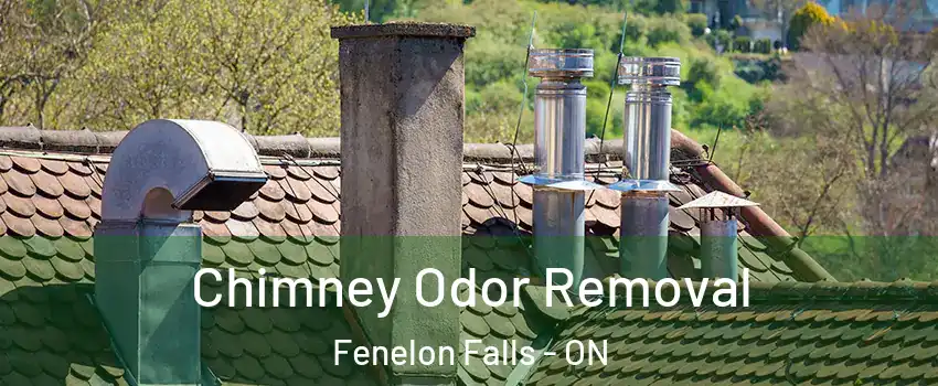  Chimney Odor Removal Fenelon Falls - ON