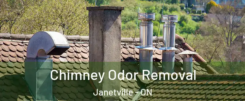  Chimney Odor Removal Janetville - ON
