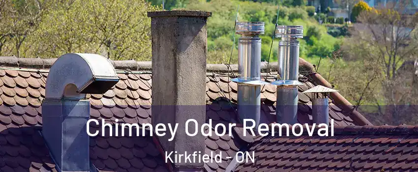  Chimney Odor Removal Kirkfield - ON