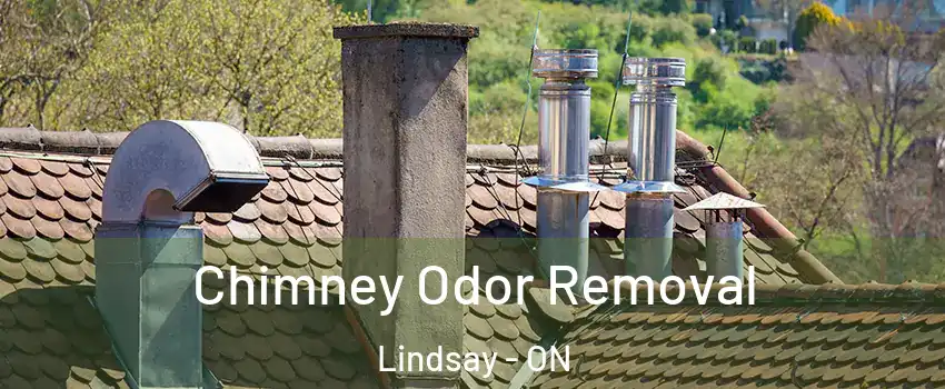  Chimney Odor Removal Lindsay - ON