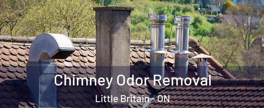  Chimney Odor Removal Little Britain - ON